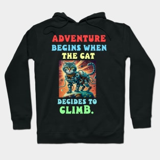 Adventure begins when the cat decides to climb Hoodie